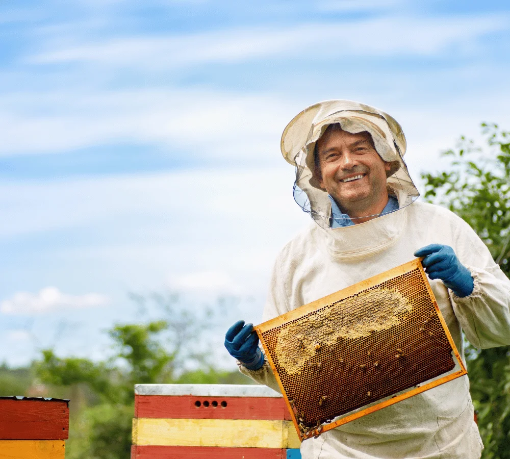 Bee Farm Apiary